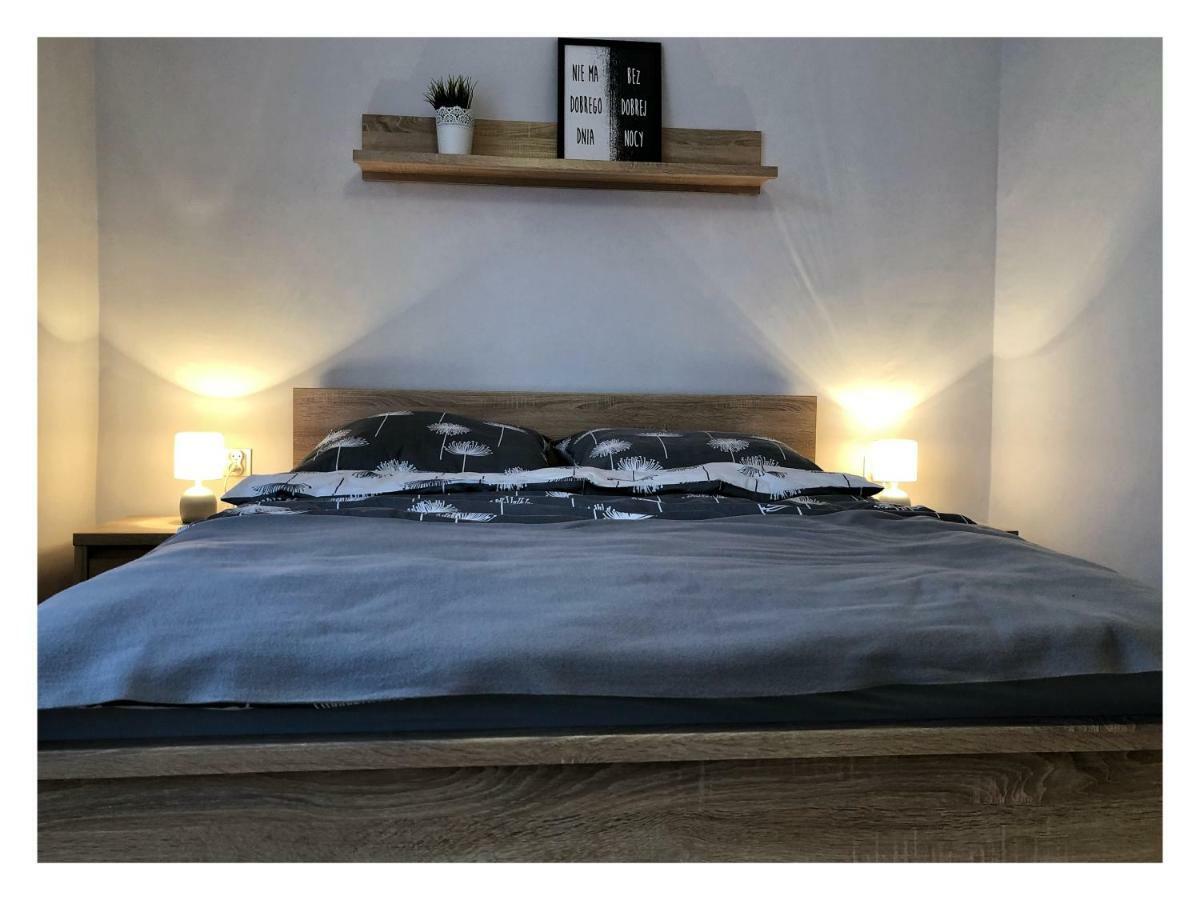Apartament Przy Ratuszu 热舒夫 外观 照片