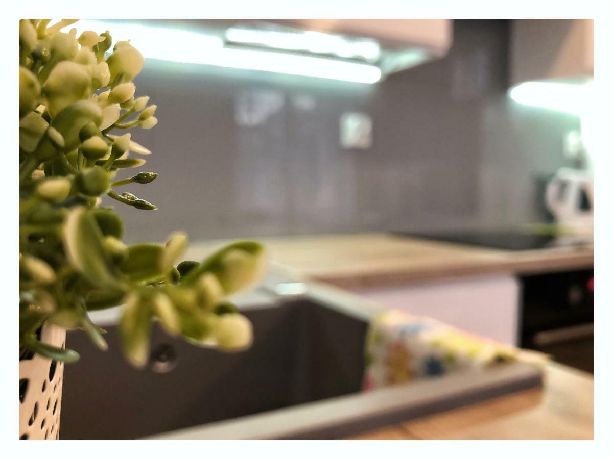 Apartament Przy Ratuszu 热舒夫 外观 照片