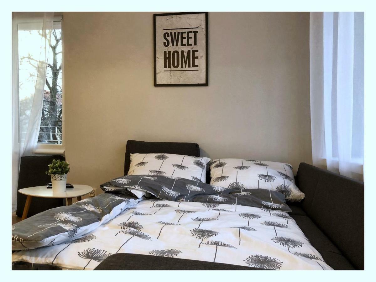 Apartament Przy Ratuszu 热舒夫 外观 照片