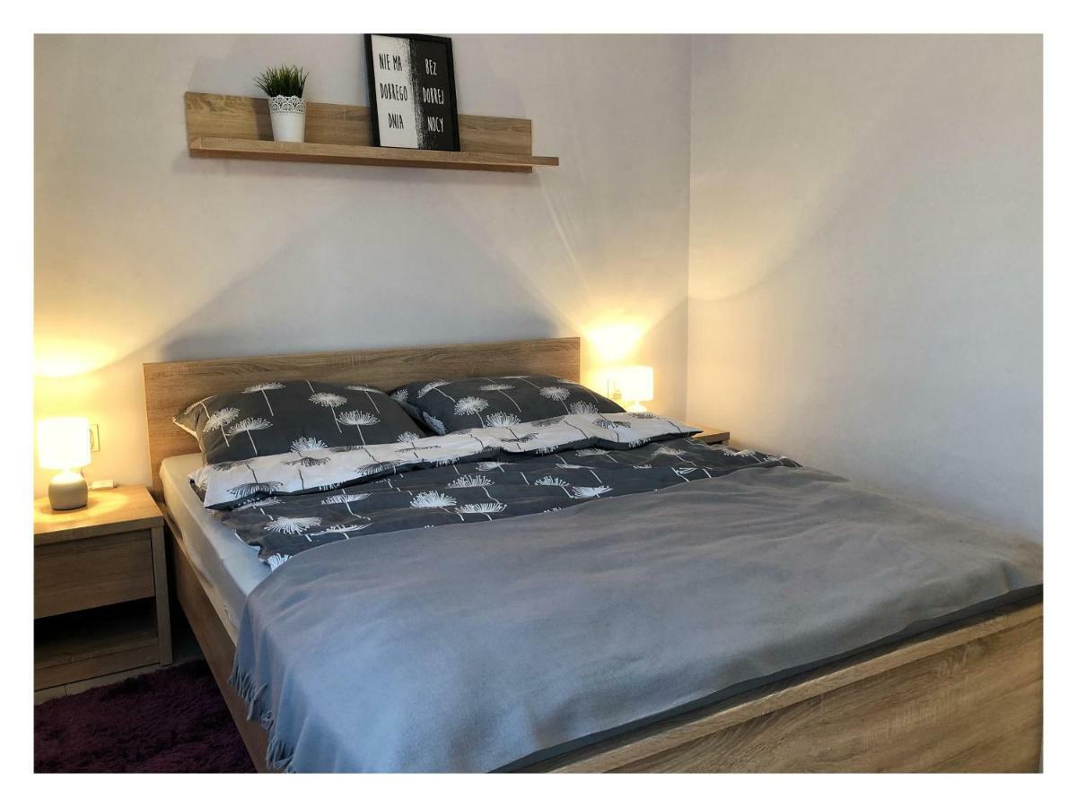 Apartament Przy Ratuszu 热舒夫 外观 照片
